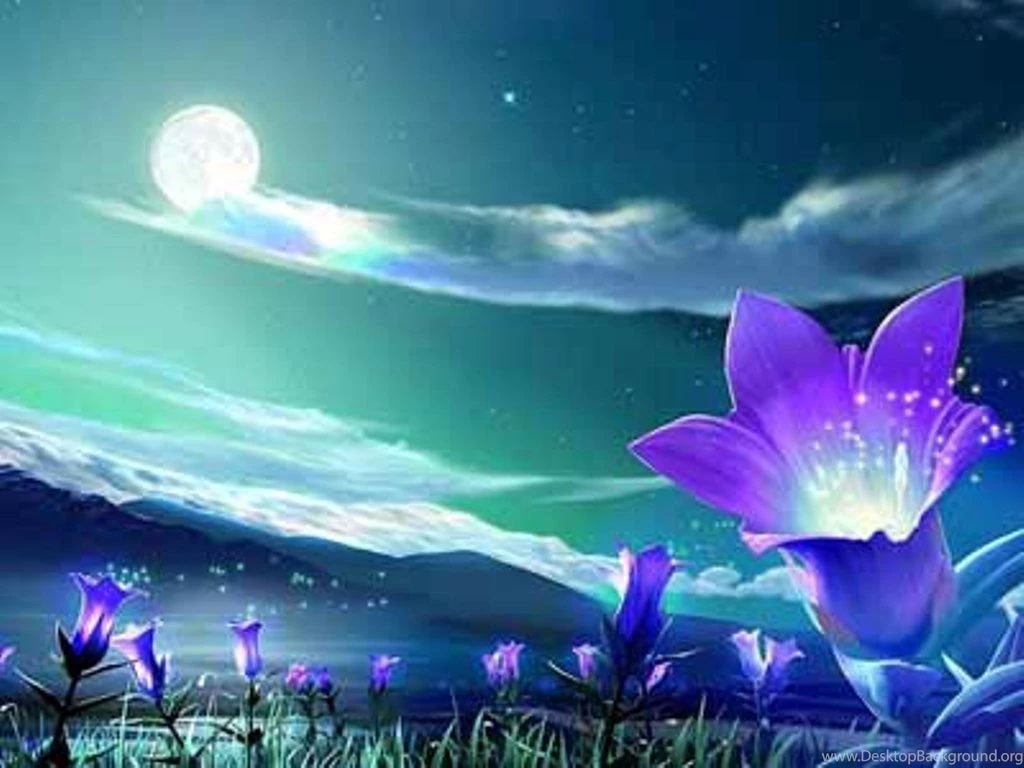 Wallpaper Backgrounds Hd