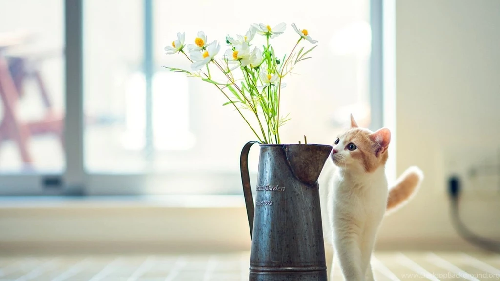 1366x768 Cat Flower Vase Wallpapers