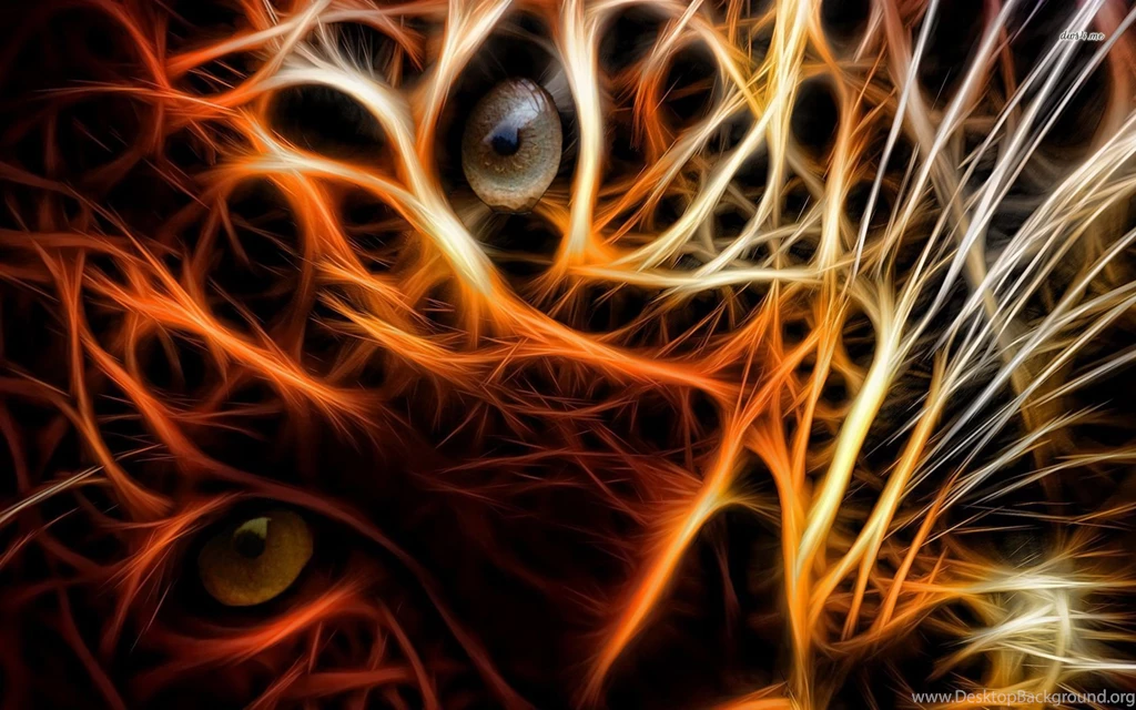 Neon Tiger Wallpapers Digital Art Wallpapers