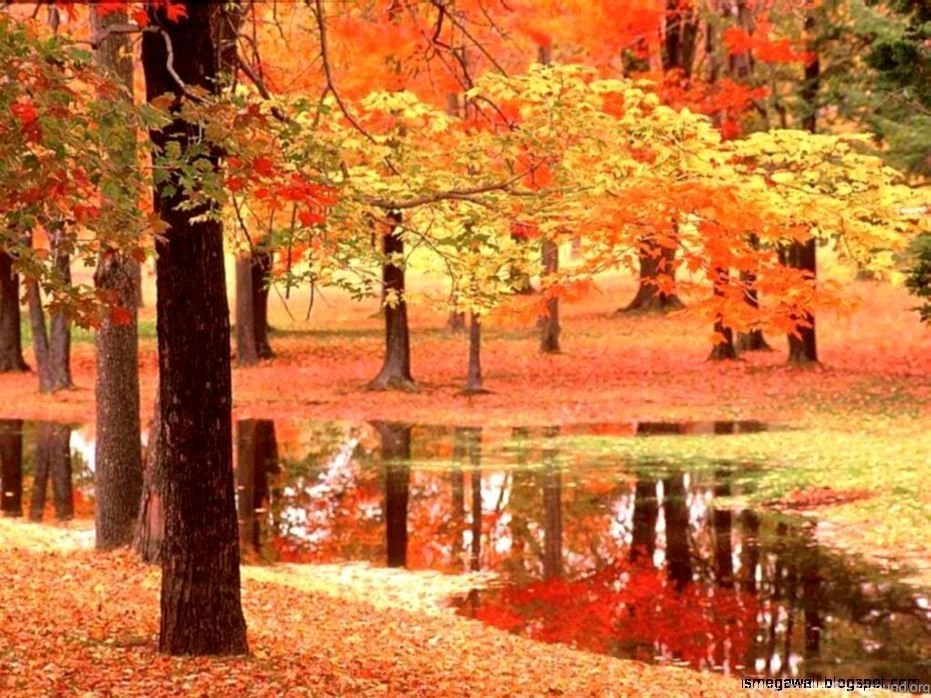 Autumn Wallpapers Free For Desktop