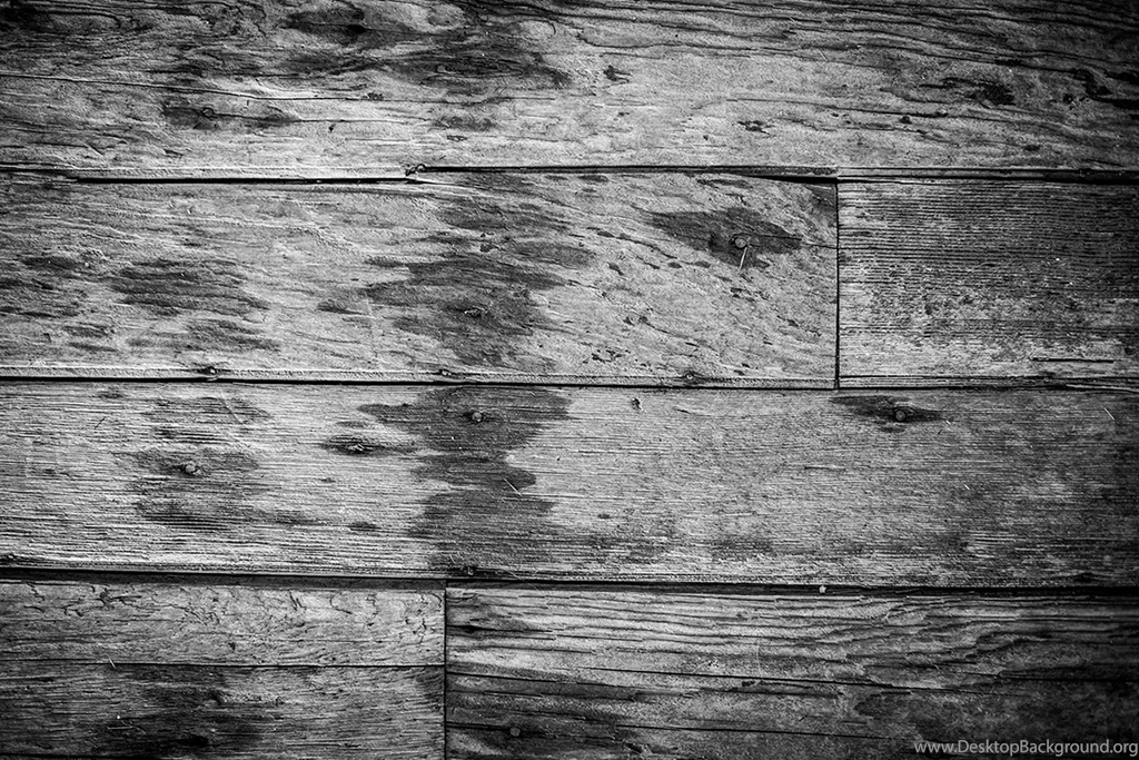 Wildcat CrosfitToday Crossfit WOD At Wildcat Crossfit