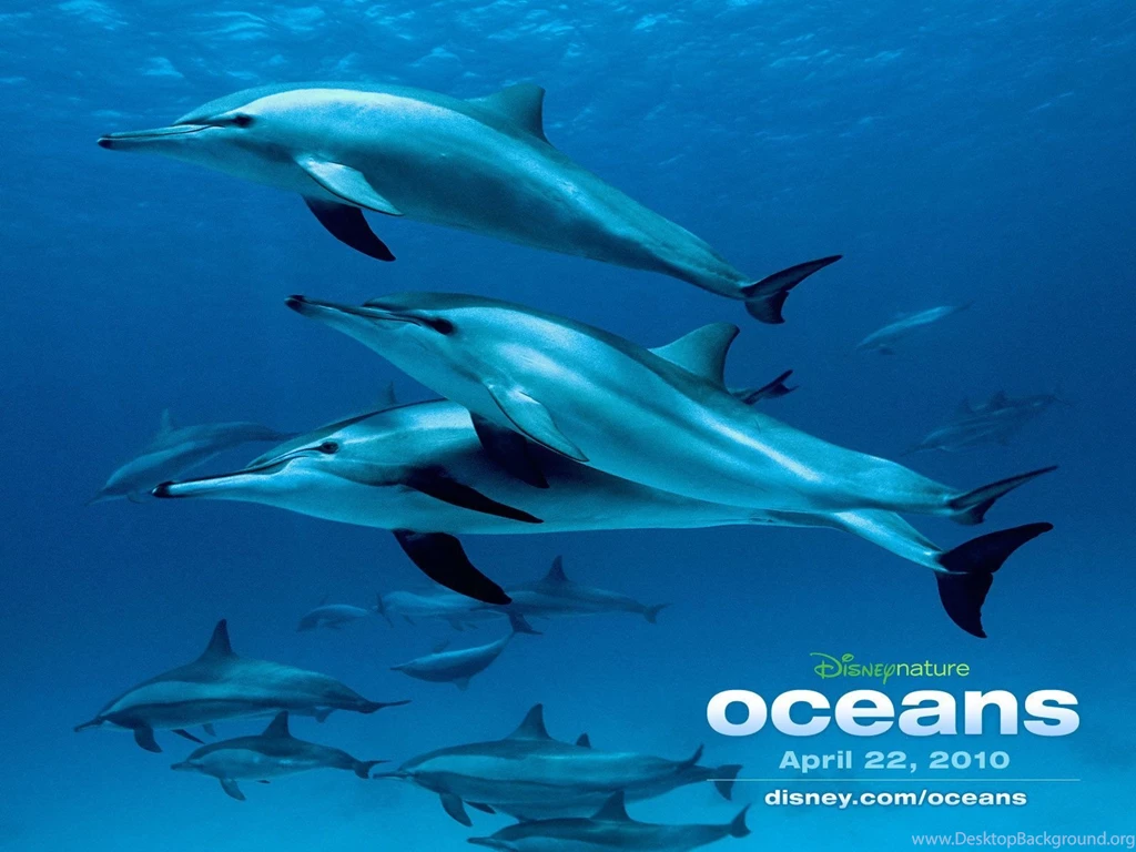 Oceans Wallpapers