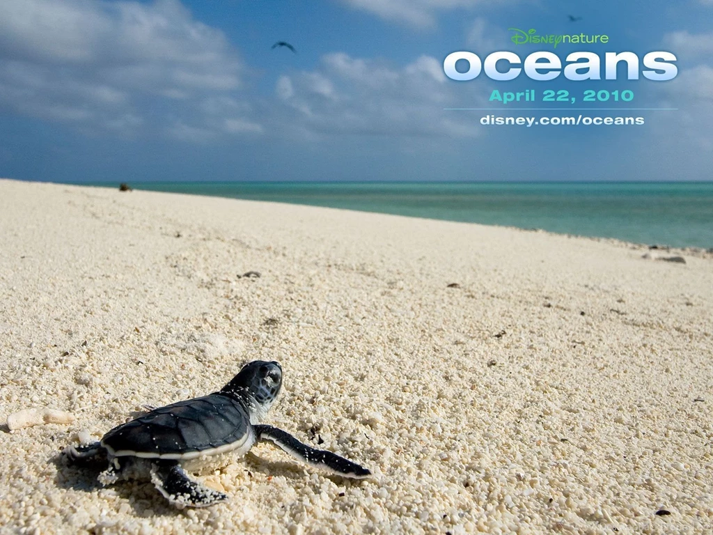 Oceans Wallpapers