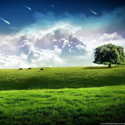 Best iPad Wallpapers For iPhone 15 Pelfind