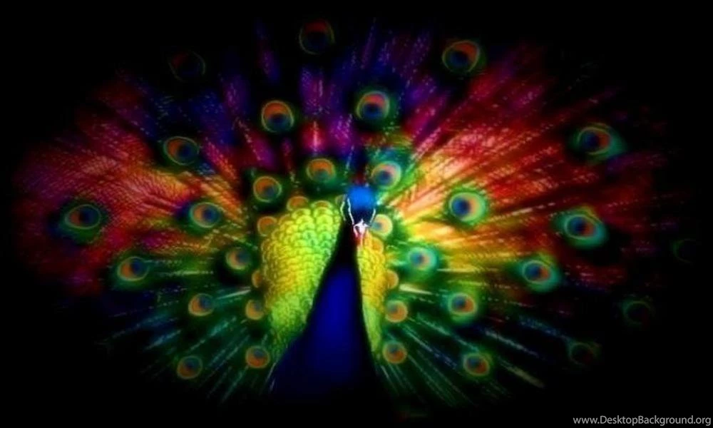 Peacock Backgrounds