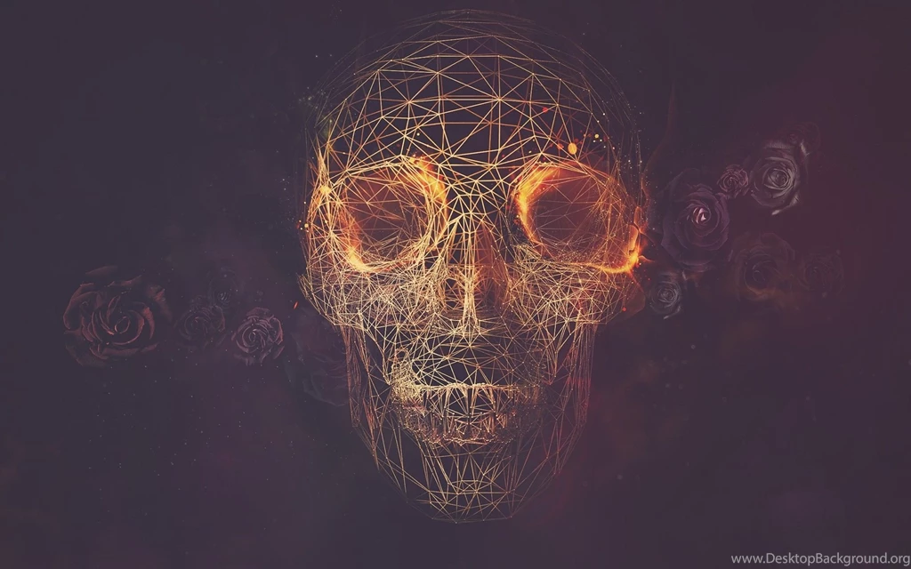 684 Skull HD Wallpapers