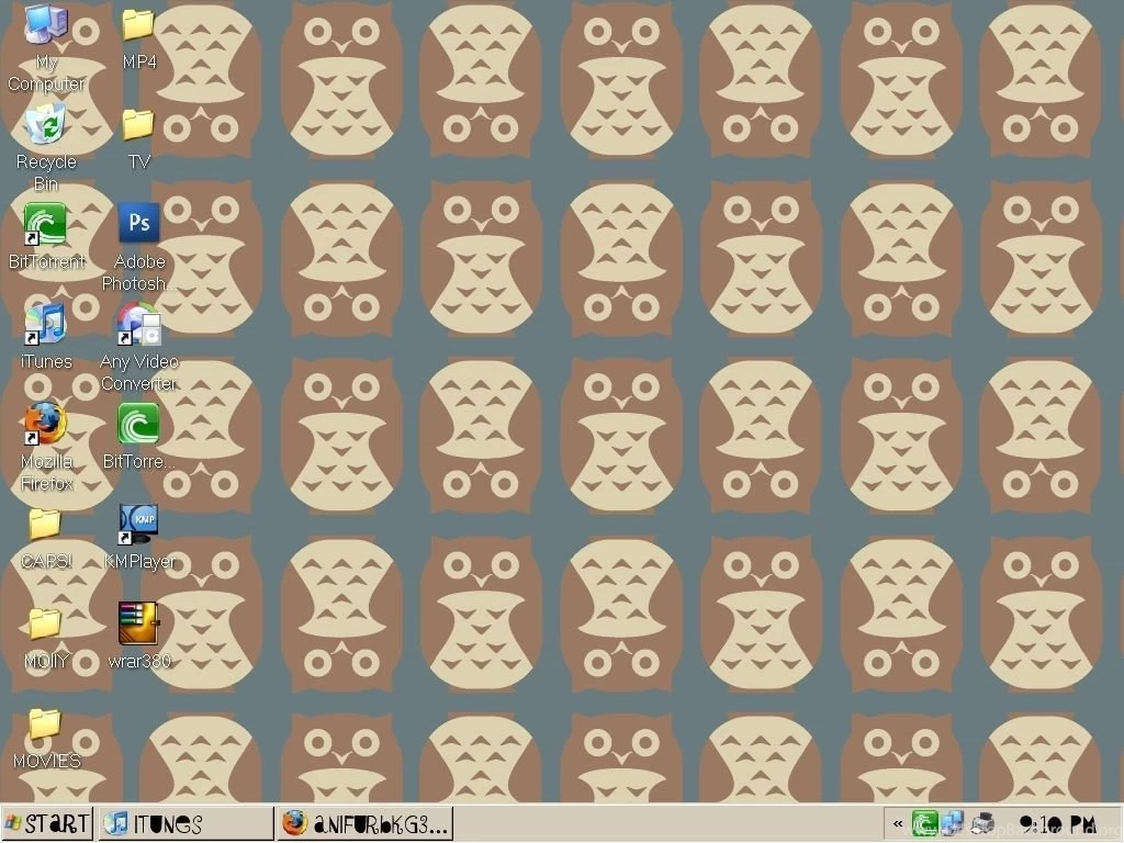 My New Desktop Background... OWLS! Ninja Pirates Photo (8127060 ...