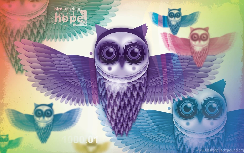 Download Wallpapers 2560x1600 Owls, Birds, Feathers, Light ...