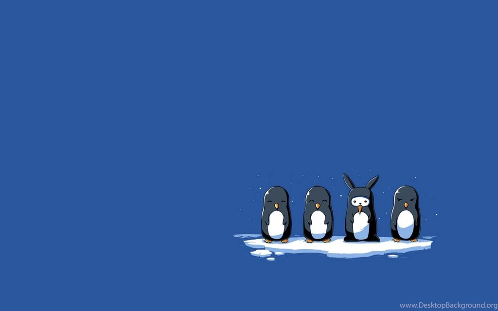 Funny Wallpapers