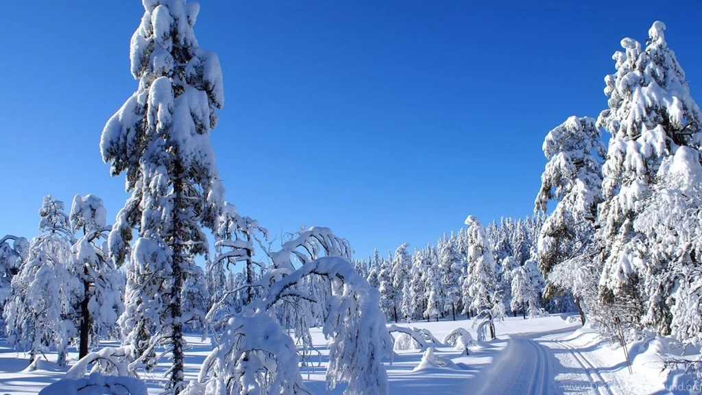 Winter Snow Wallpapers 2011