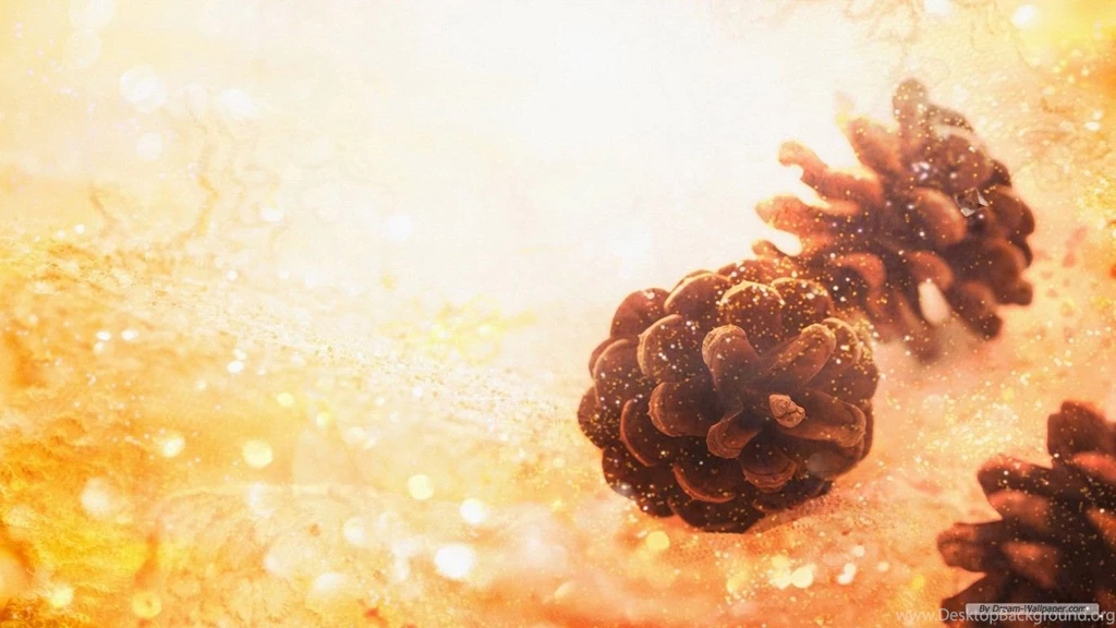 Free Wallpapers Free Nature Wallpapers Cg Seasons Autumn Winter ...
