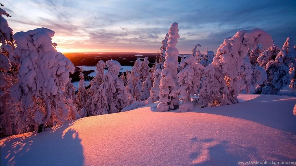 Winter Landscape Wallpapers