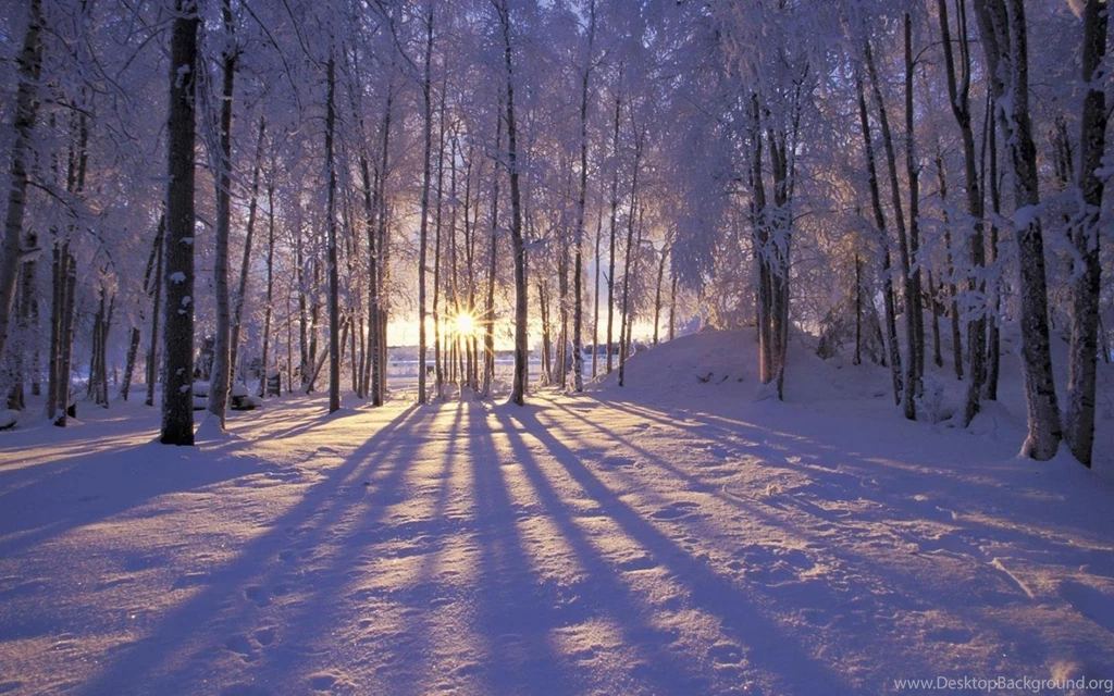 Winter Wide 1440x900