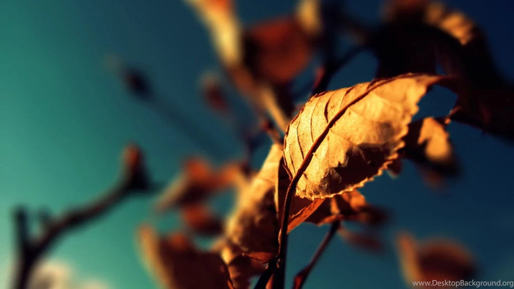 Nature Wallpapers 1920x1080 (