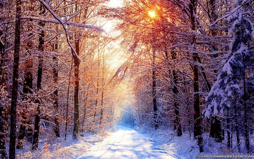 Winter Day Wallpapers   Crazy Frankenstein