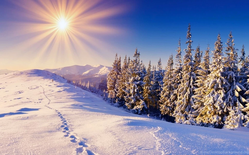 1440x900 Winter Sun Wallpapers