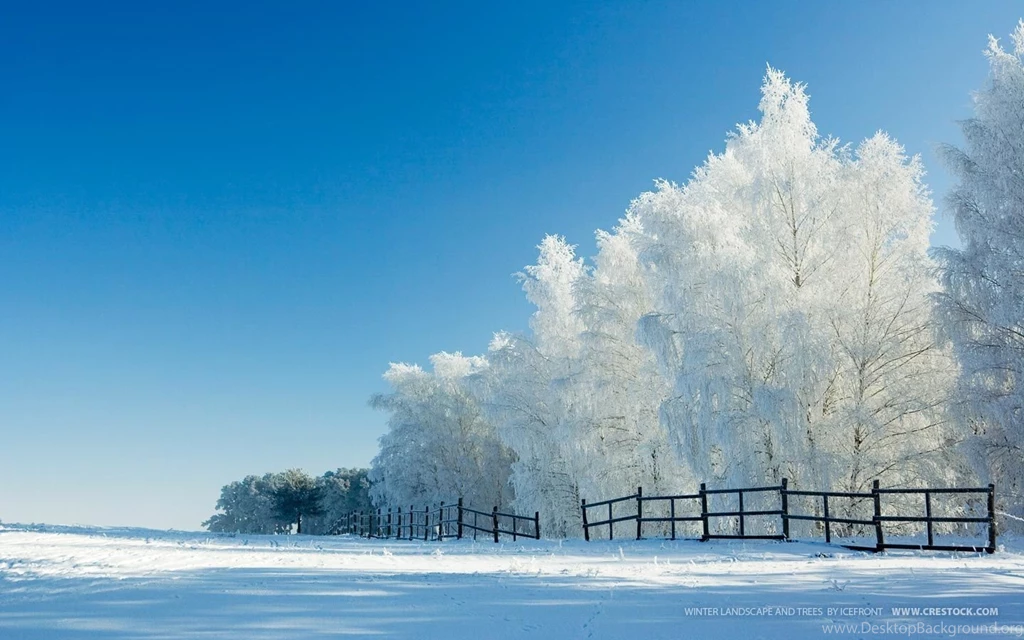 Winter Wallpapers Widescreen Wallpapers 71651
