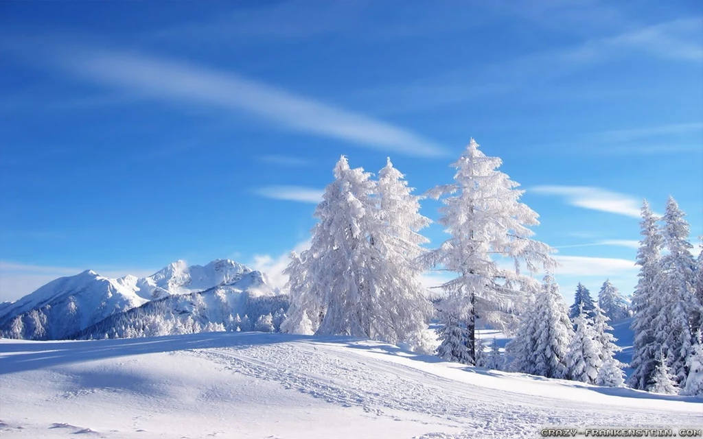 Winter Landscape Wallpapers   Crazy Frankenstein
