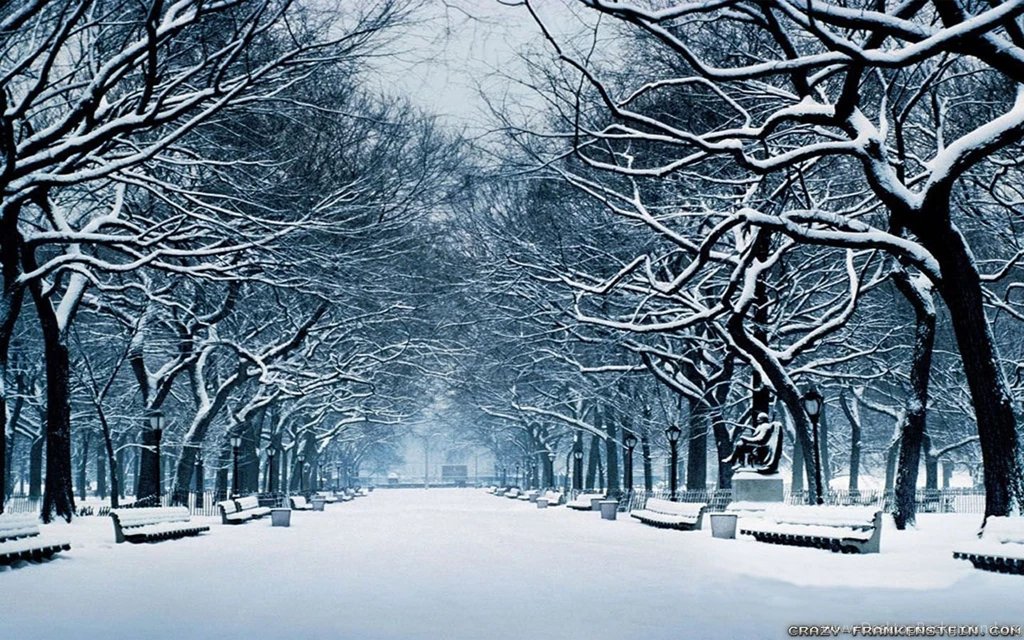 Winter Season Wallpapers Crazy Frankenstein