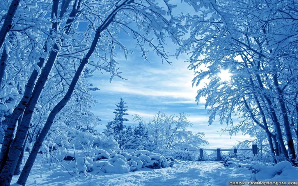 Winter Nature Wallpapers 3   Crazy Frankenstein