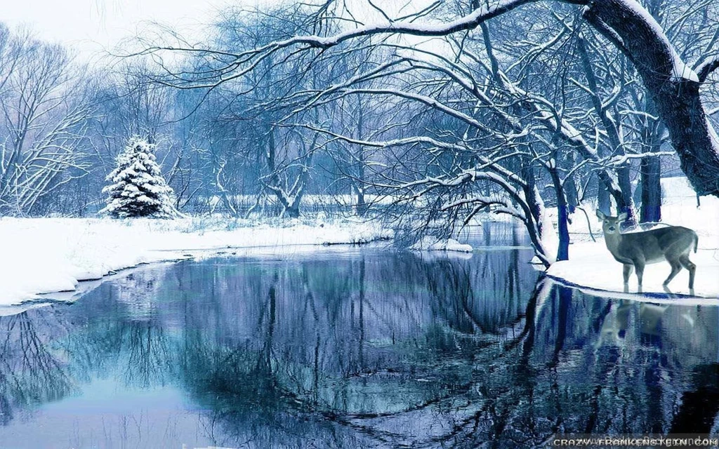 Winter Nature Wallpapers   Crazy Frankenstein