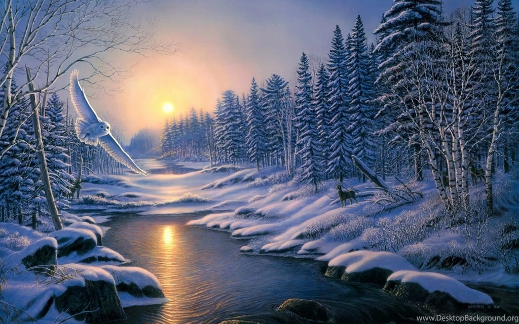 Winter Owl Windows 8 Painting Wallpapers Wallpapers X