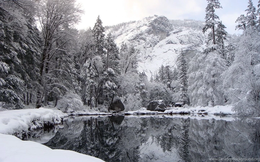 1440x900 Winter Reflection Desktop PC And Mac Wallpapers