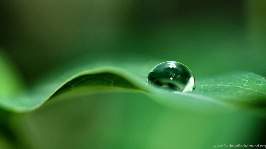 Water Drop On Green Leave 1920x1080 Full HD 16/9 Wallpapers ...