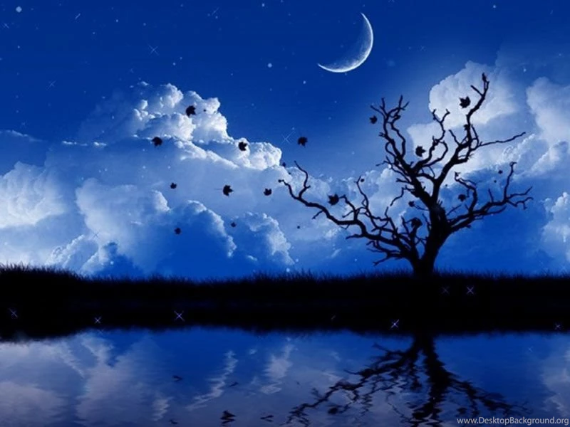 Wallpapers Desktop Backgrounds Free Download   HD Wallpapers And ...