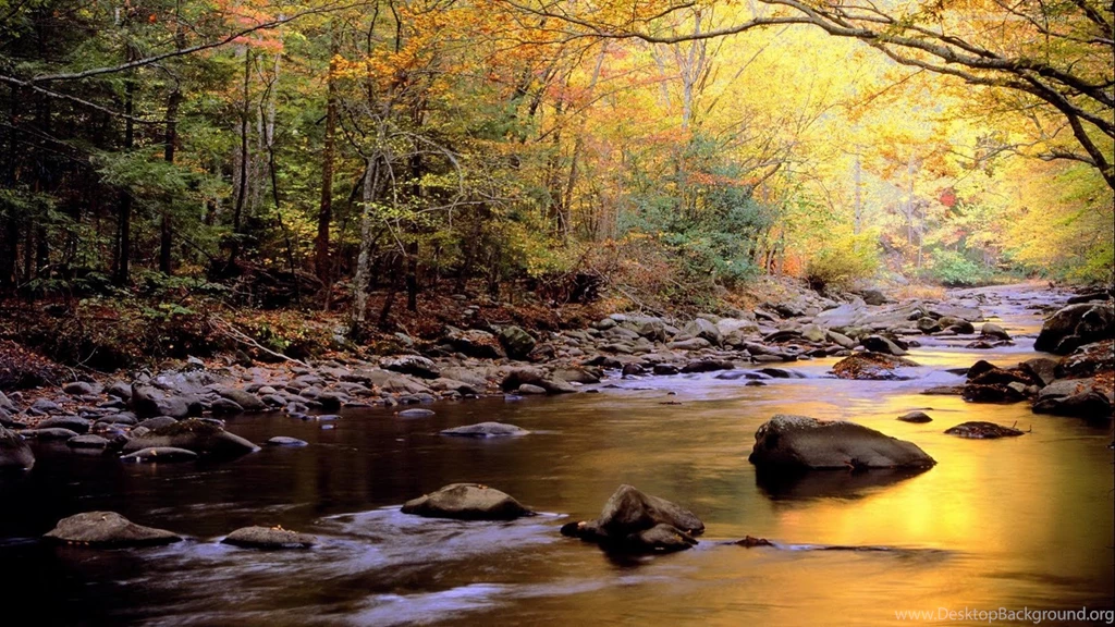 20 Amazing Nature Full HD Wallpapers 1080p