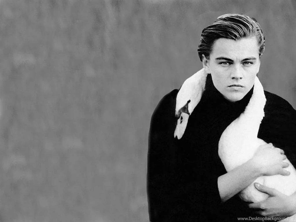 Leonardo DiCaprio Young 1400x1050 Wallpapers, 1400x1050 Wallpapers ...