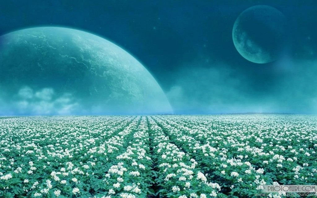 Computer LCD Nature Wallpapers Collection