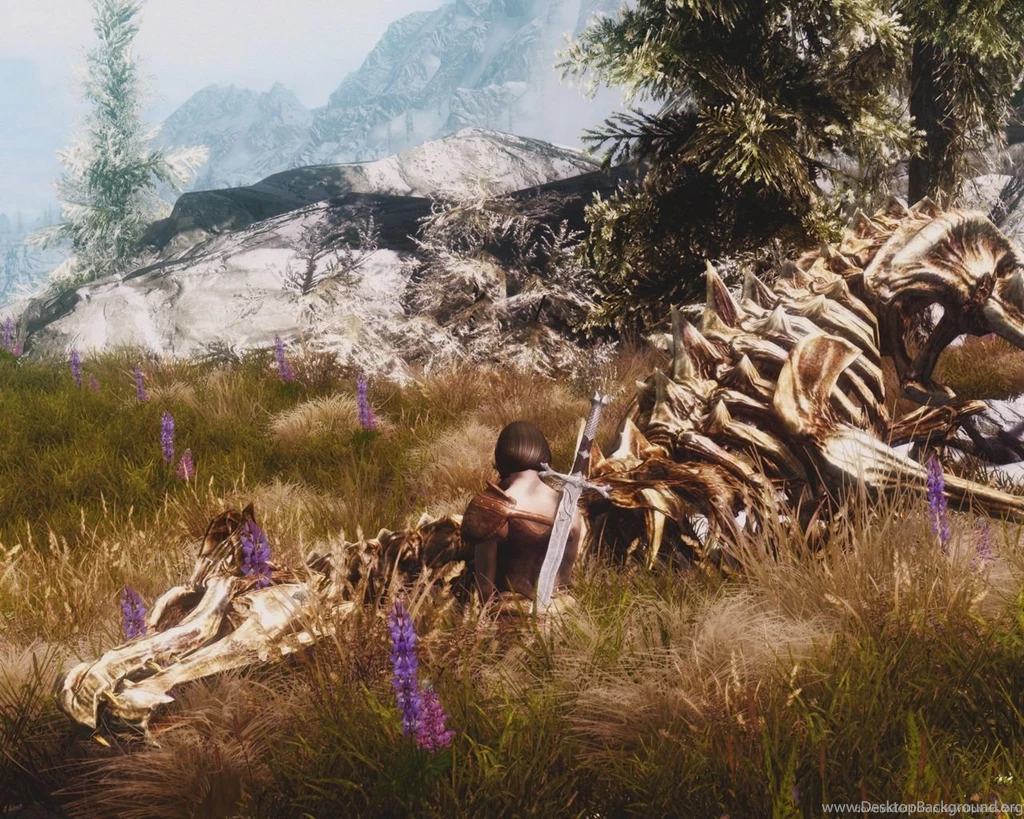 Download 1280x1024 Skyrim Dragon Skeleton Wallpapers