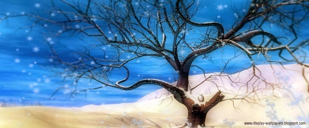 HD Wallpapers Free Stock: Animated Wallpapers For Laptop Screen