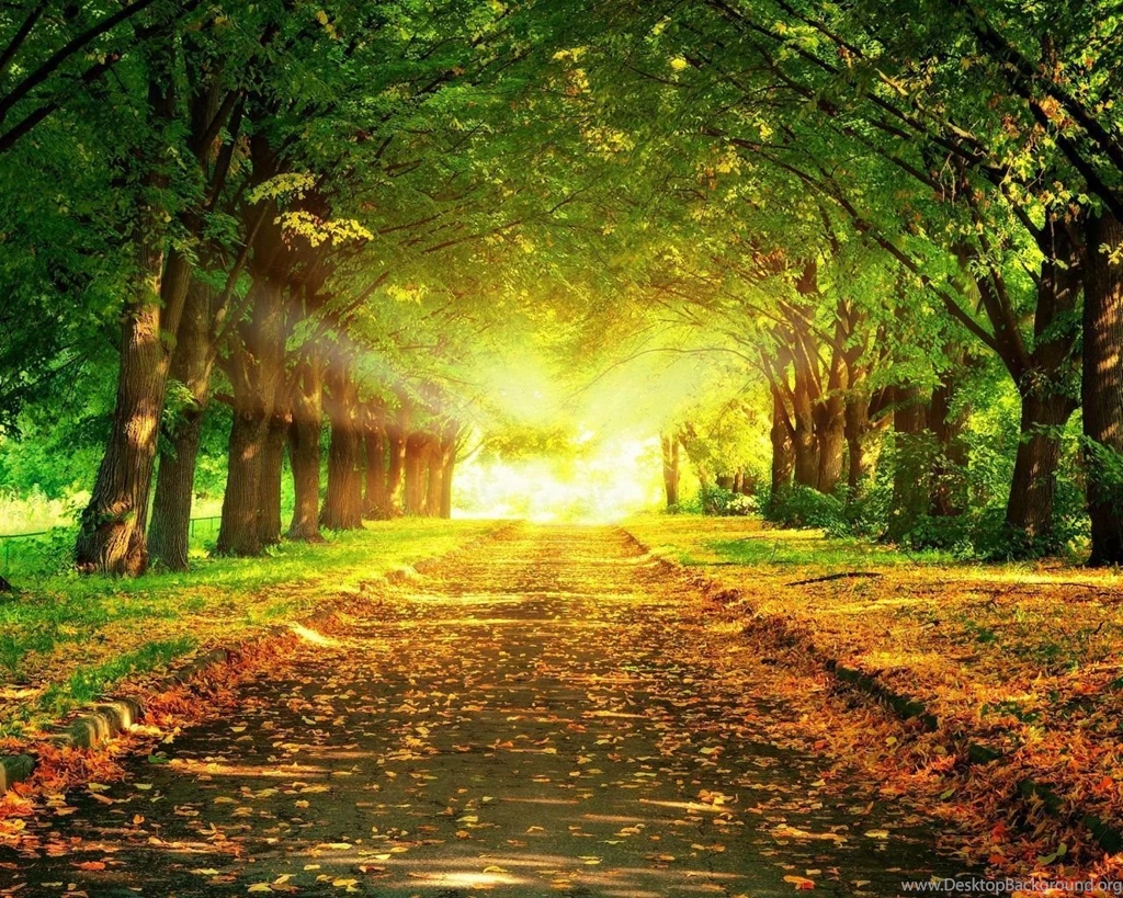 Top Autumn Wallpapers 1280x1024 Images For Pinterest