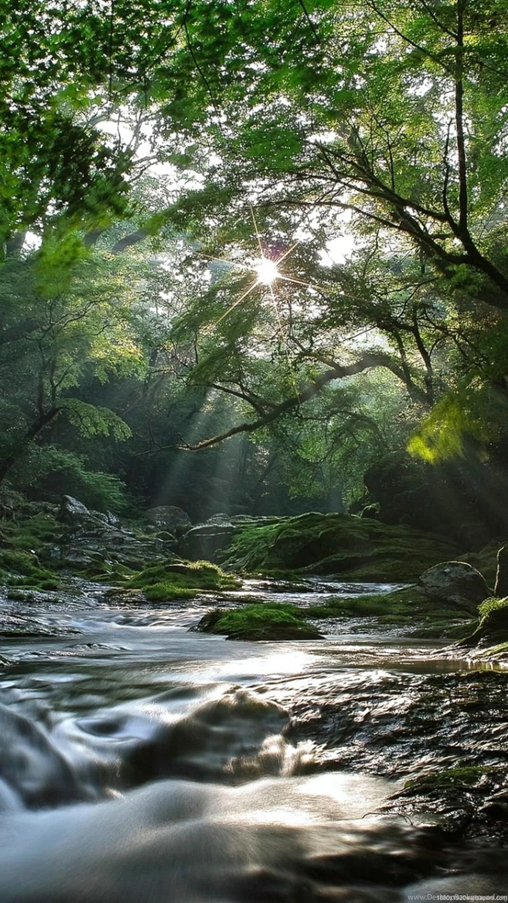 1080x1920 Natural Scenery Wallpapers HD