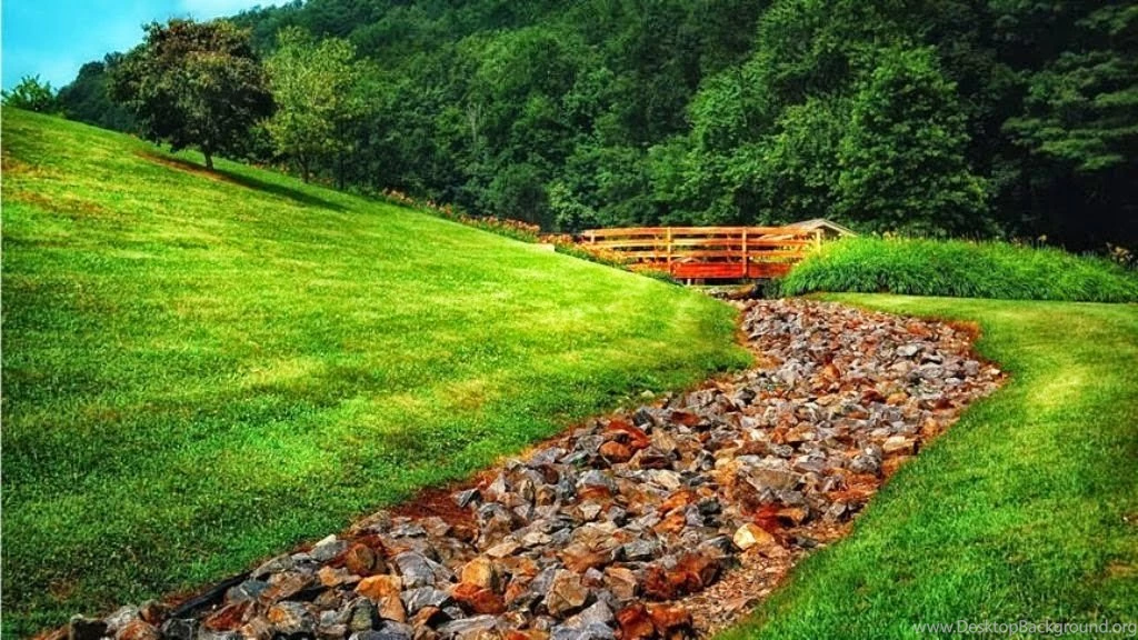 HD Nature Pics Obtain   HD Images New