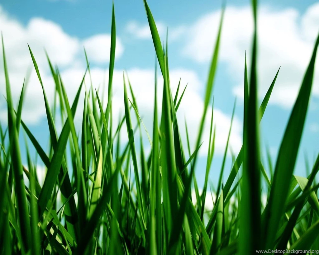 Nature Wallpapers 1280x1024 Wallpapers, 1280x1024 Wallpapers ...