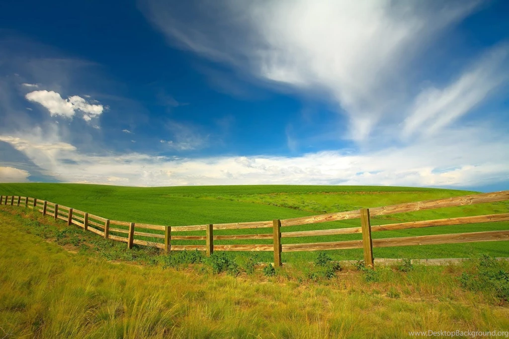 3D New HD Wallpapers