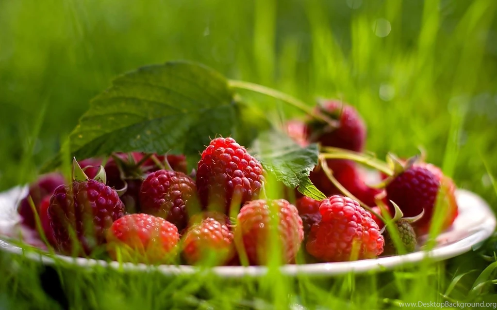 Nature Raspberries Berries Fresh New Hd Wallpapers [Your Popular HD ...