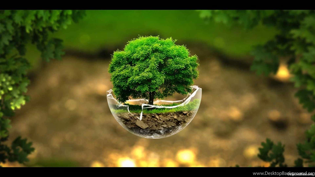 Nature Wallpapers 2015