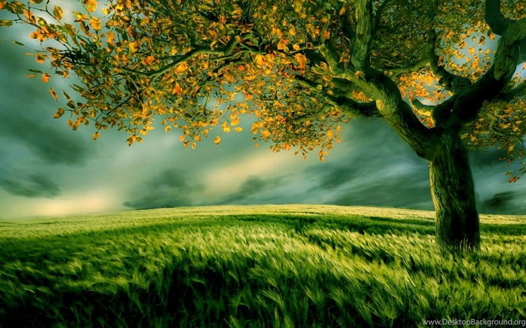 New Nature Wallpapers HD Wallpapers And Pictures