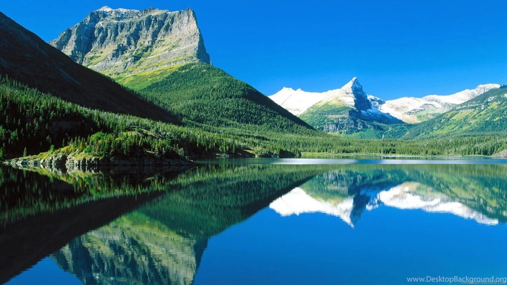 Nature's HD Photo