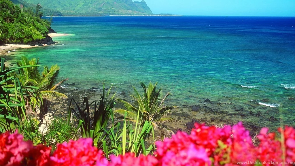 Nature Wallpapers   11309