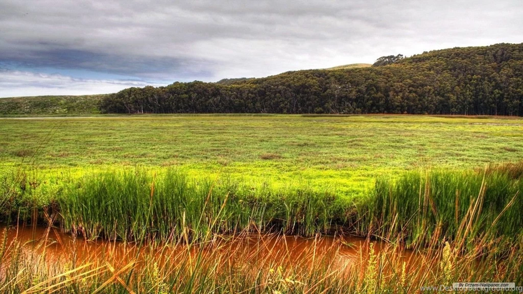 Free Wallpapers Free Nature Wallpapers PS Landscape 1 Wallpapers ...
