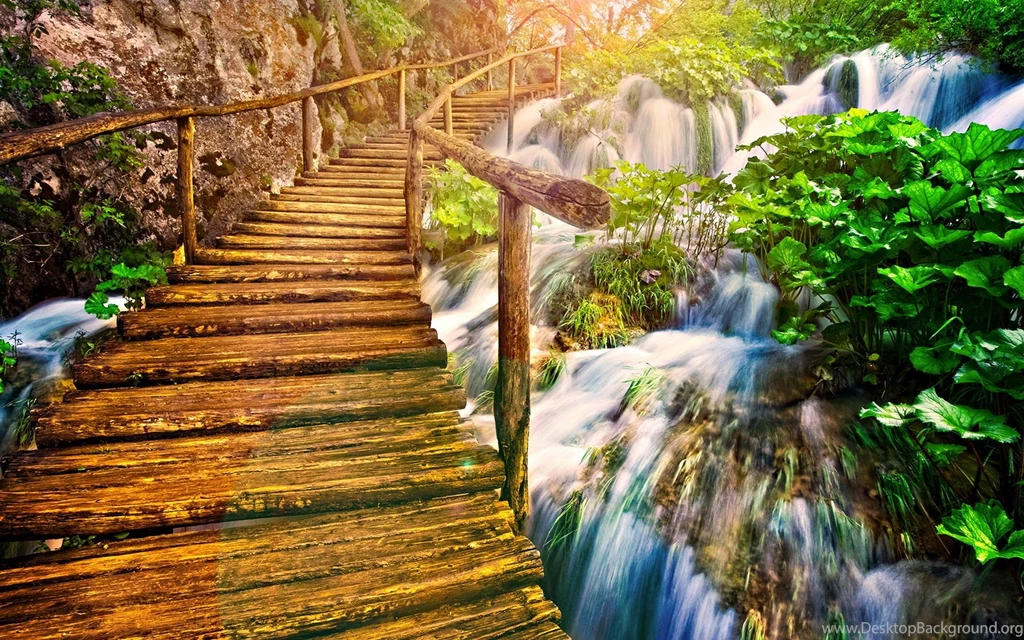 Beautiful Wooden Bridge On The Nature Wallpape