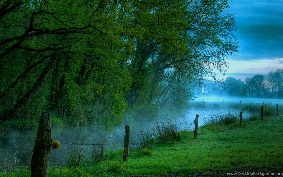 Pictures Related To Nature HD Wallpapers Pretty