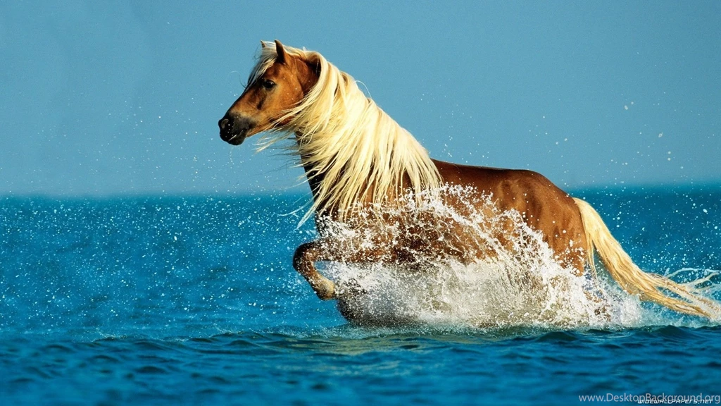 Horses Running Wallpapers 194657