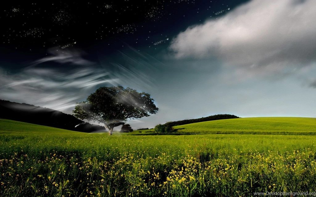 Wallpapers HD H8