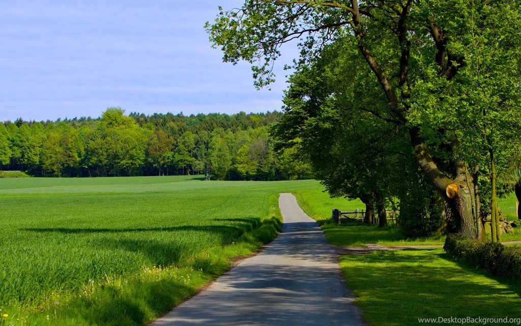 50+ Widescreen HD Nature Wallpapers